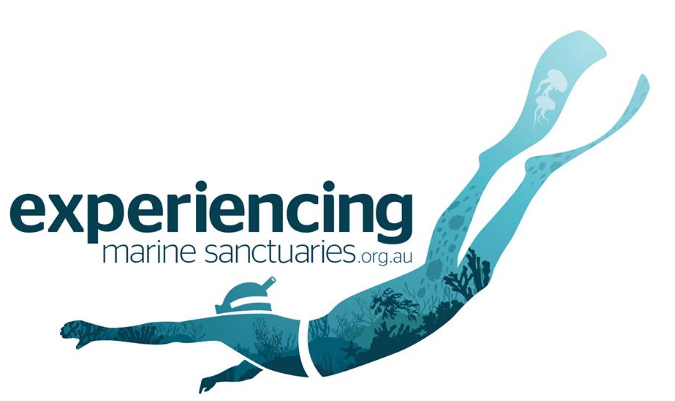 Experiencing Marine Sanctuaries 